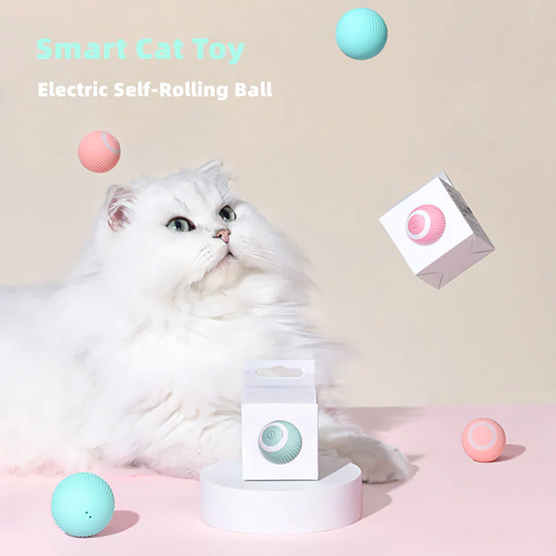 Activate Your Cat's Natural Instincts