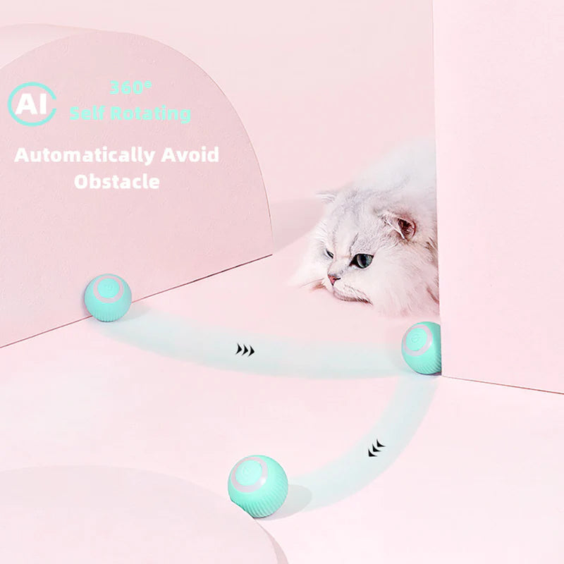 Activate Your Cat's Natural Instincts