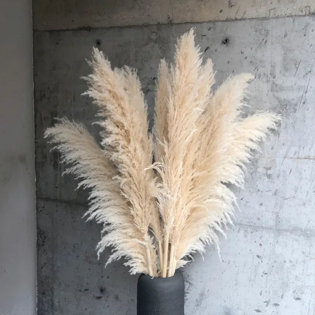 Boho Dried Pampas Grass for Home Decor