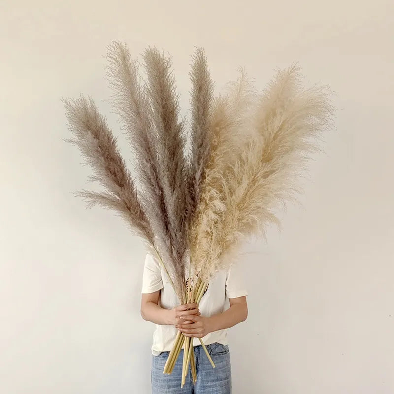 Boho Dried Pampas Grass for Home Decor
