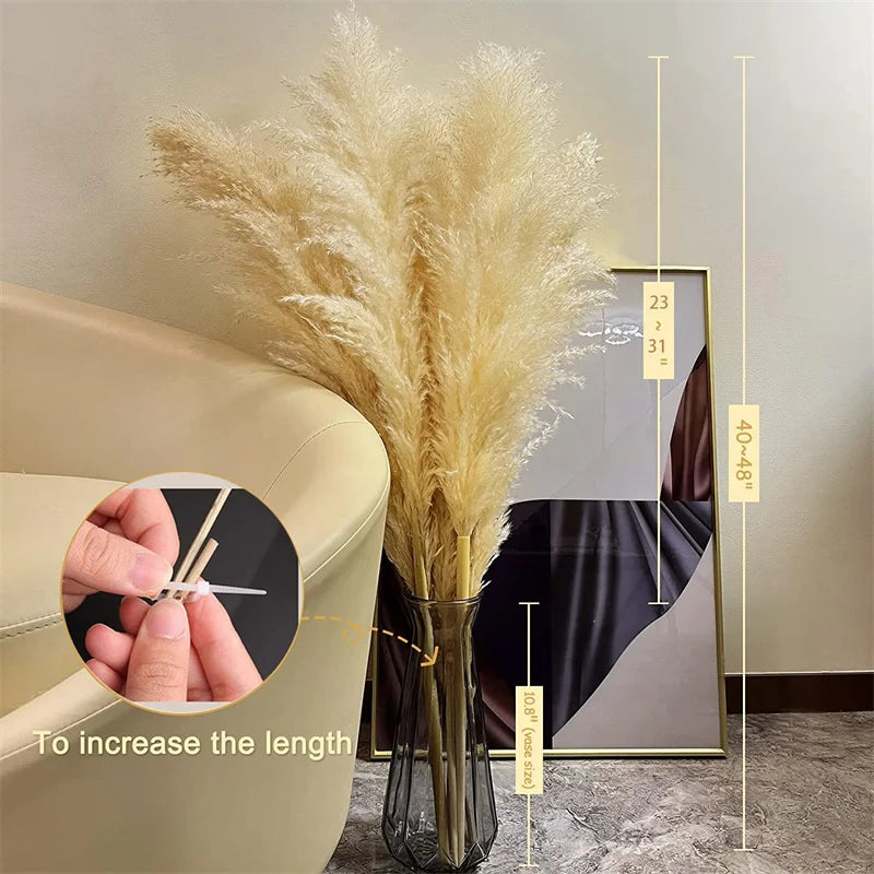 Boho Dried Pampas Grass for Home Decor