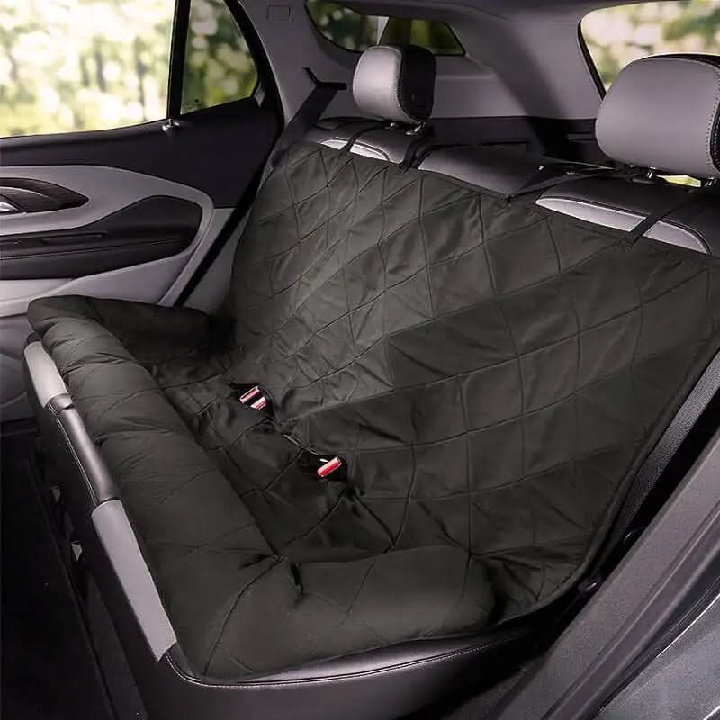 Backseat Lounge Area for Pet Comfort and Cleanliness
