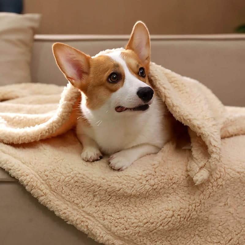 Premium Pet Fleece Blanket