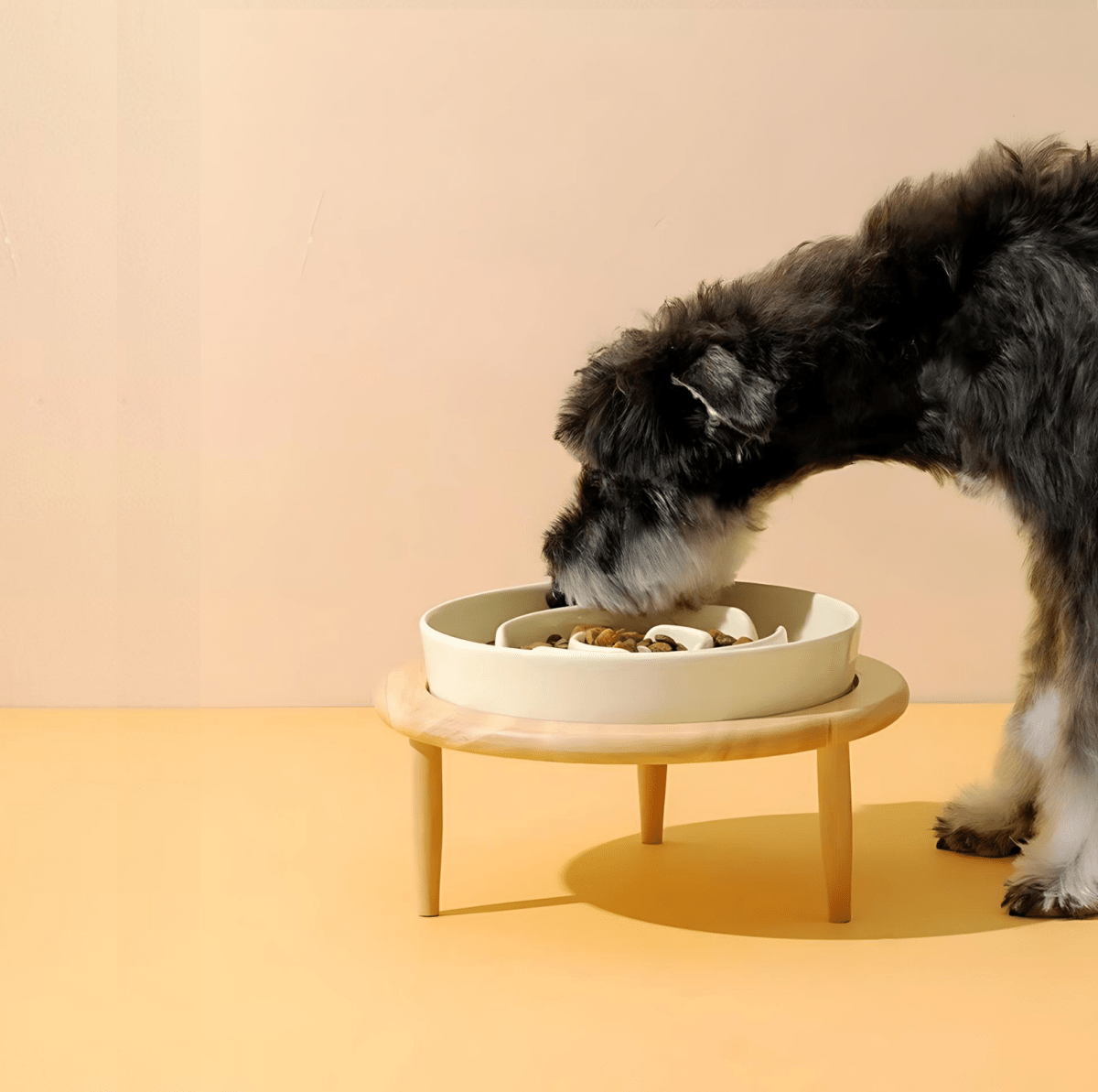 Elegant Handmade Food Bowl for Pets