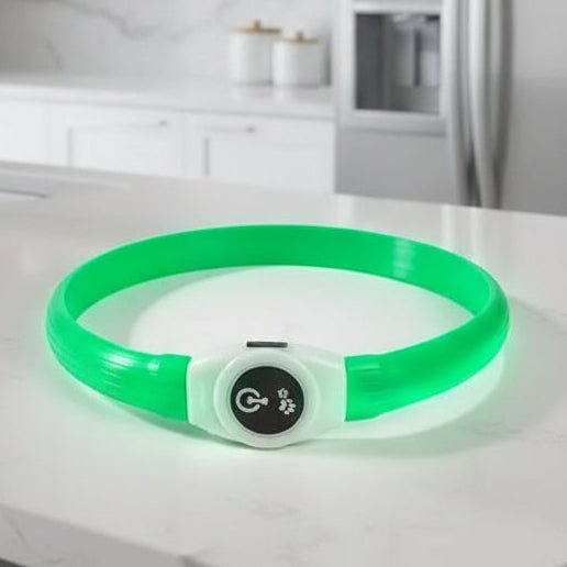 LED Dog Collar for Safe Night Walks
