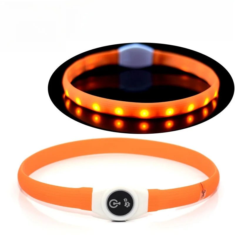 LED Dog Collar for Safe Night Walks