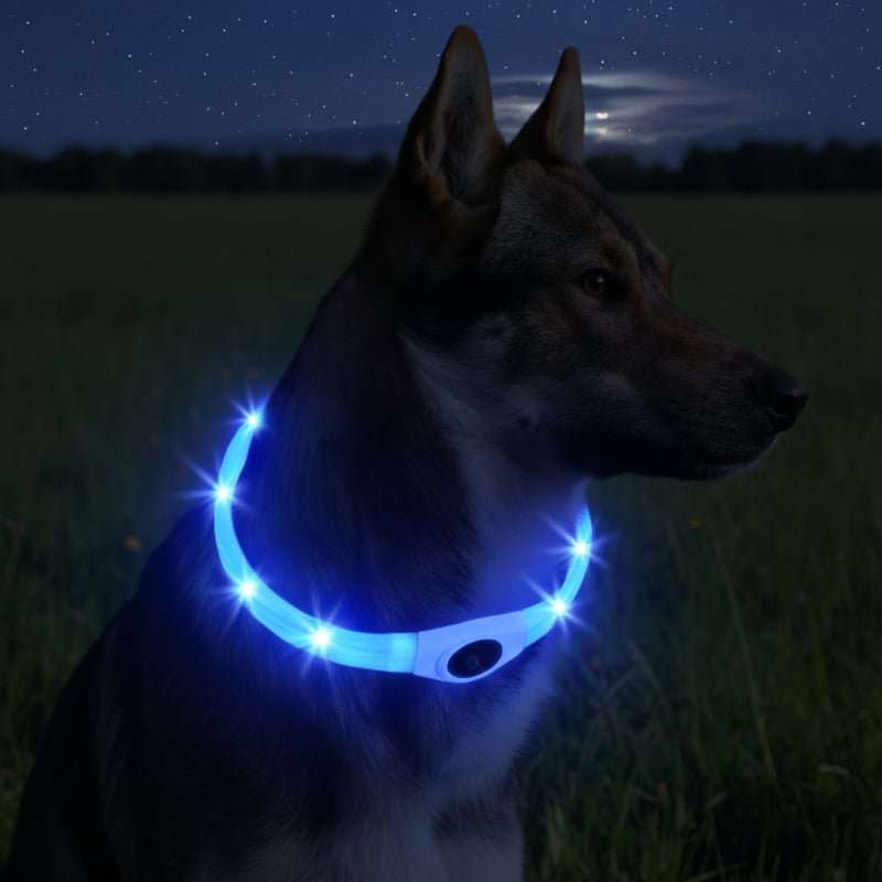 LED Dog Collar for Safe Night Walks