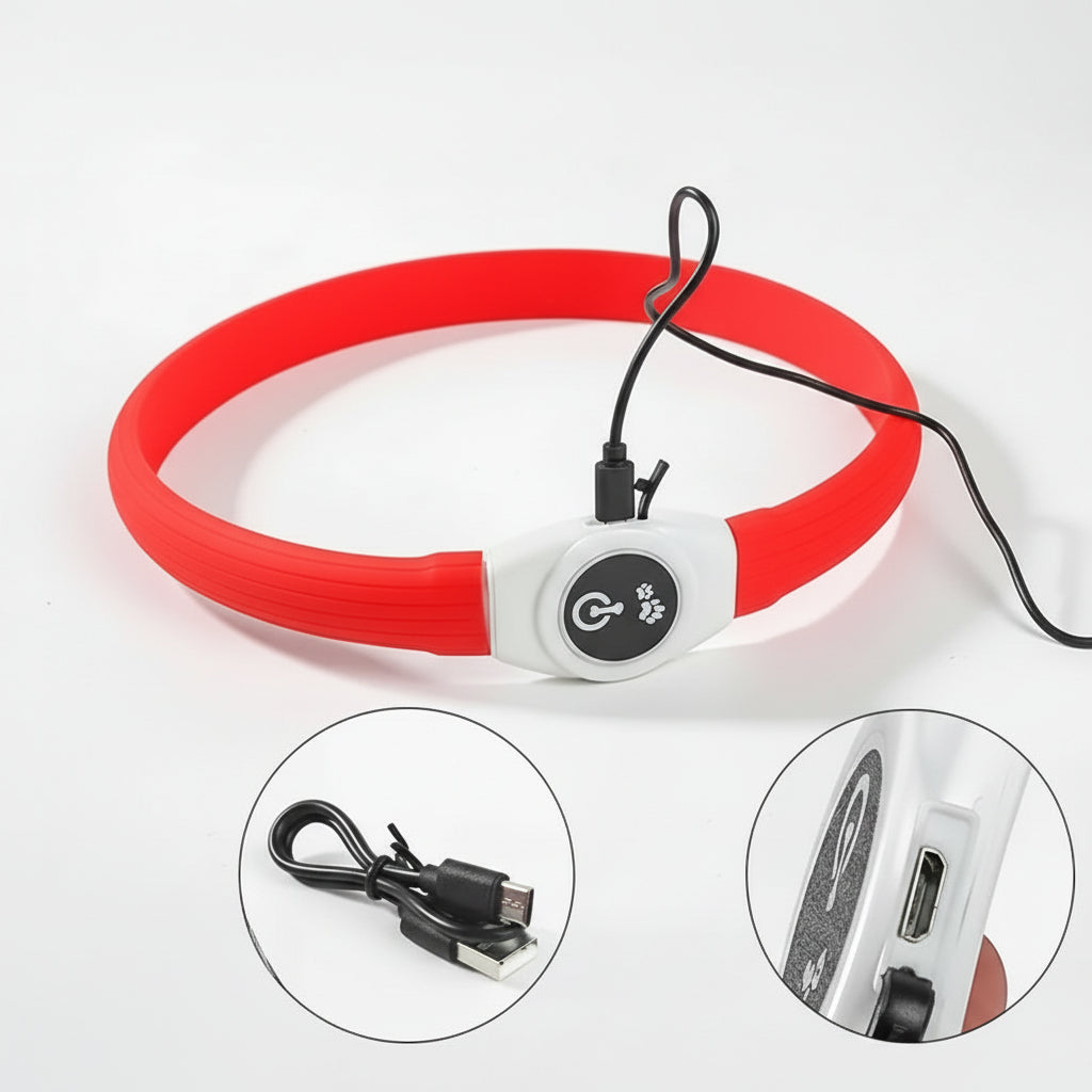 LED Dog Collar for Safe Night Walks