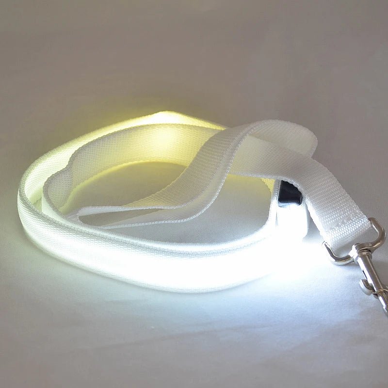 LED Dog Leash with USB Charging & Reflective Design