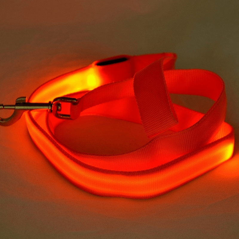 LED Dog Leash with USB Charging & Reflective Design
