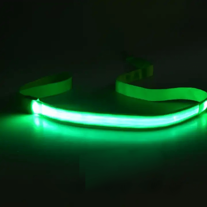 LED Dog Leash with USB Charging & Reflective Design