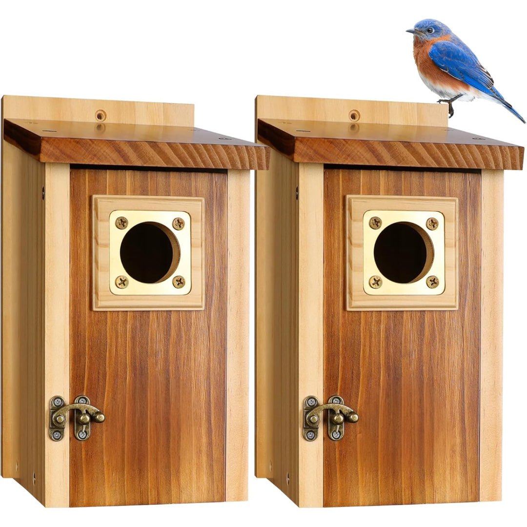 Wood Nesting House for Blue Jays, Swallows, and Small Birds