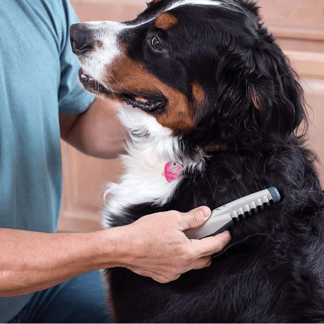 Gentle Pet Coat Trimmer for All Coat Types