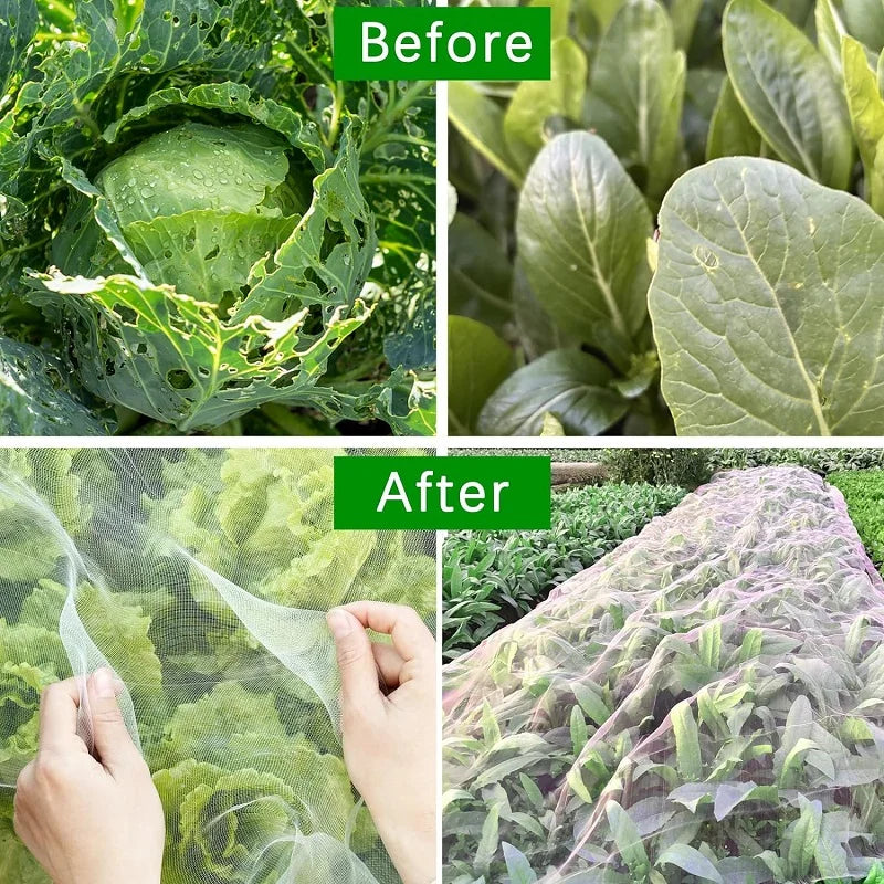 HDPE Insect Net for Breathable Plant Protection and Pest Control