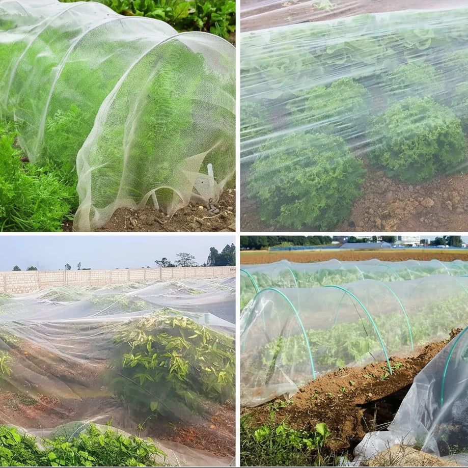 HDPE Insect Net for Breathable Plant Protection and Pest Control