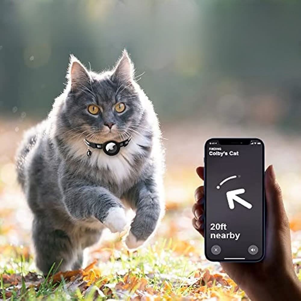 GPS Tracker Collar for Cat Safety and Visibility
