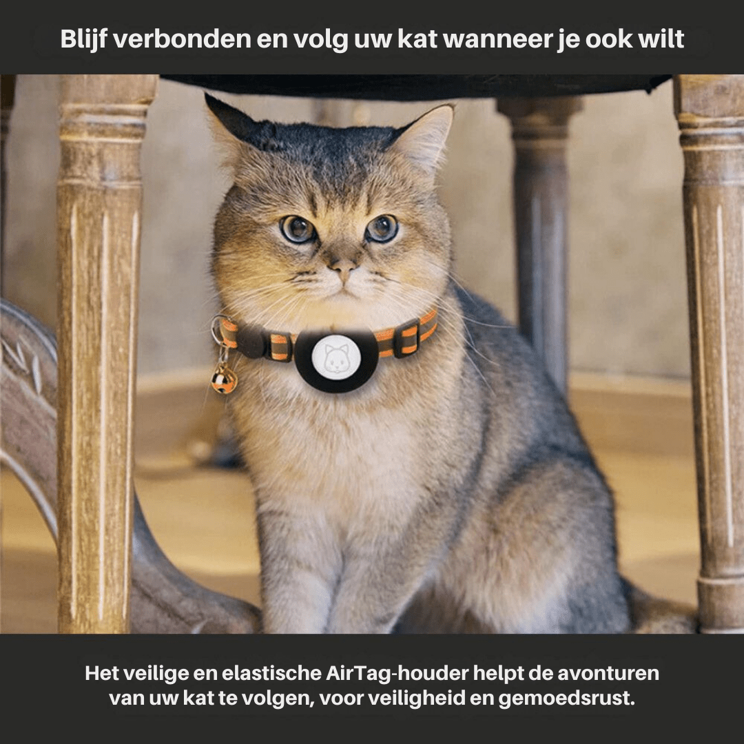 GPS Tracker Collar for Cat Safety and Visibility