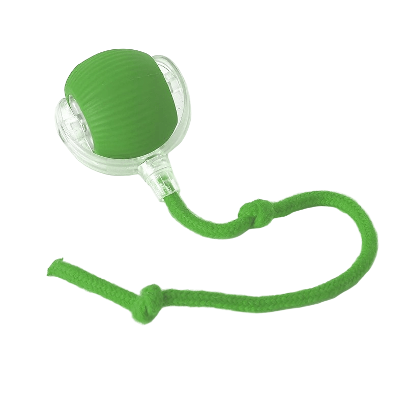 Interactive Rechargeable Bouncing Dog Ball