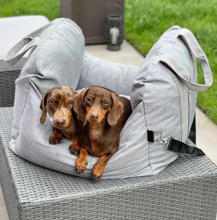 Dog Seat Bed with Safety Belt & Non-Slip Bottom for Comfortable Rides