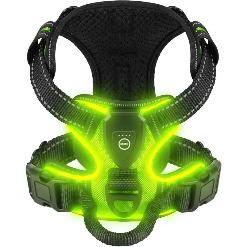Rechargeable LED Dog Harness for Enhanced Nighttime Safety