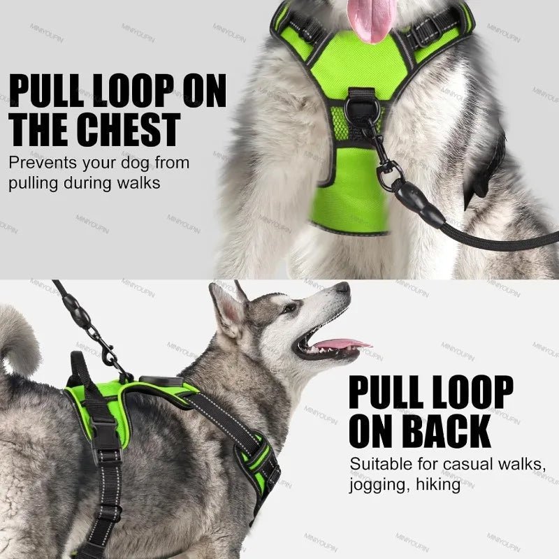 Rechargeable LED Dog Harness for Enhanced Nighttime Safety