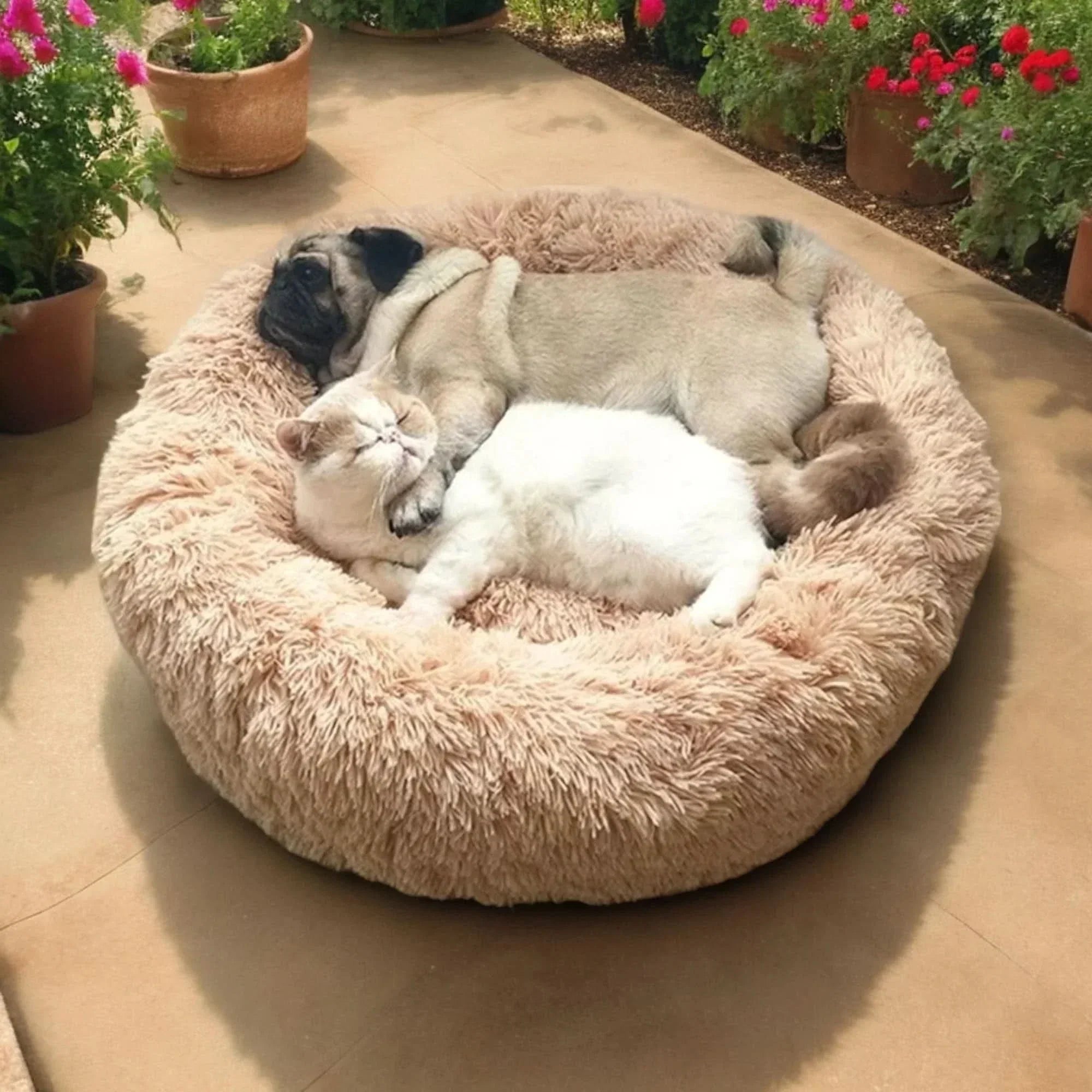 Ultra-Soft Dog Bed for Comfortable and Relaxed Sleep