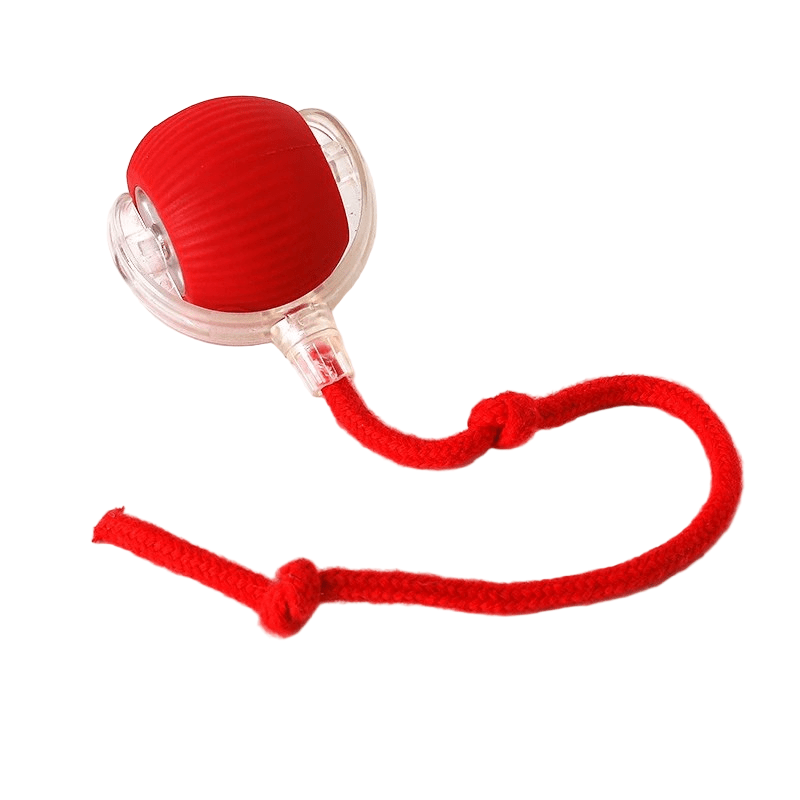 Interactive Rechargeable Bouncing Dog Ball