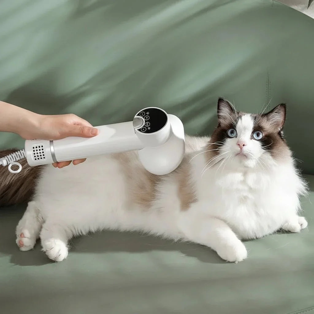 Ion Technology Hair Dryer for Pets