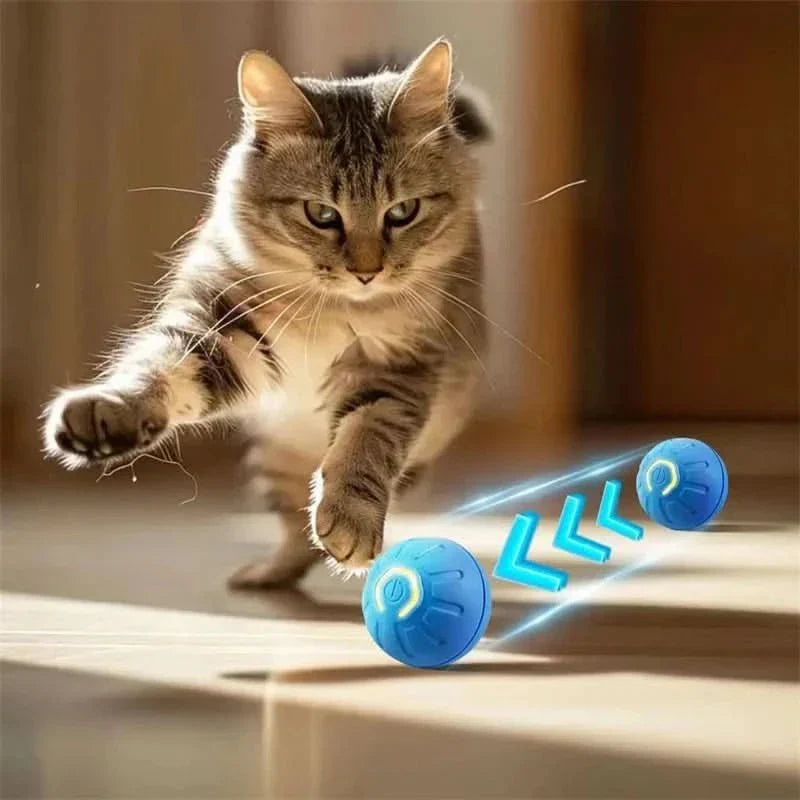 Interactive Rechargeable Bouncing Dog Ball