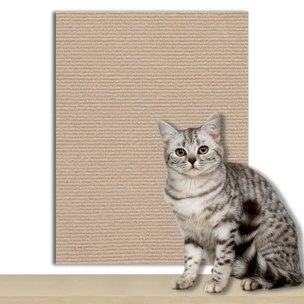Self-Adhesive Protection Plate for Cats to Safeguard Furniture, Walls & Carpets