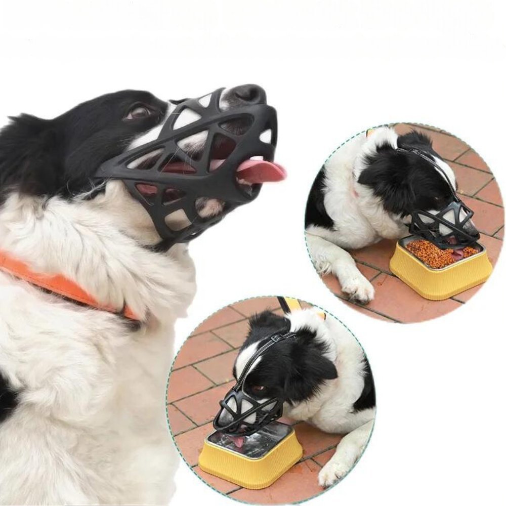Gentle Dog Muzzle for Safe Everyday Situations