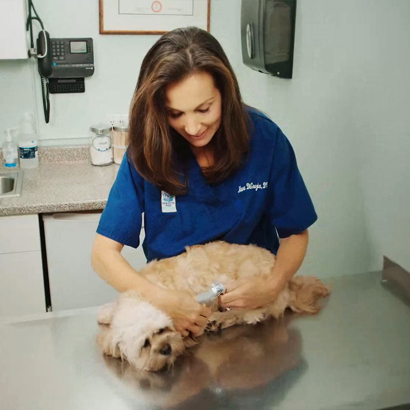 Smart Quick Sensor Nail Clippers for Pets