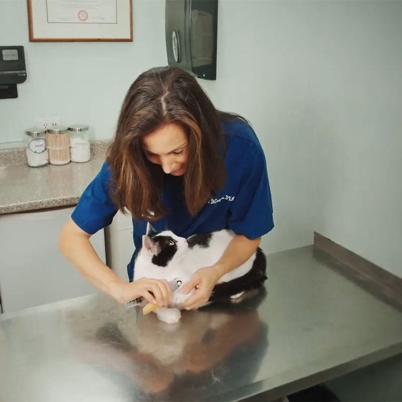 Smart Quick Sensor Nail Clippers for Pets