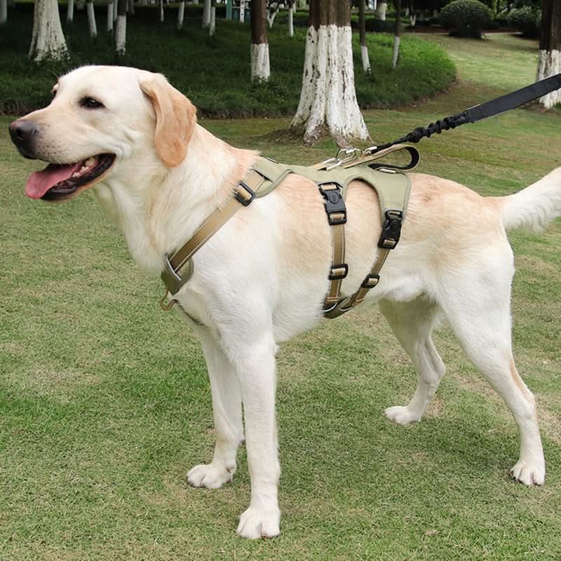 Comfortable Anti-Pull Dog Harness with Enhanced Grip and Safety Features