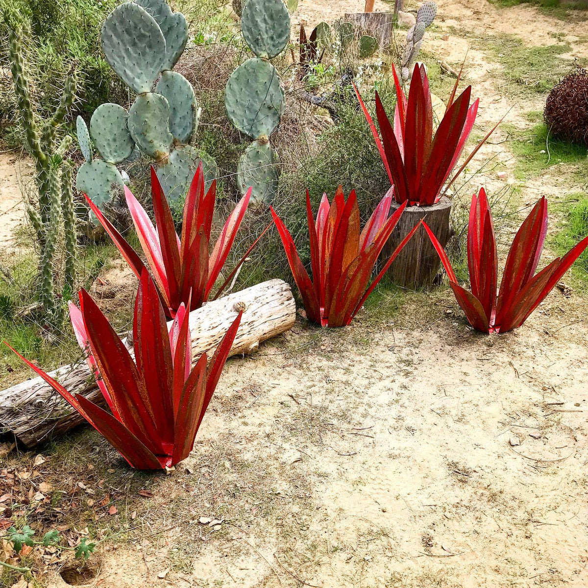Waterproof Eternal Agave Rustic Sculpture