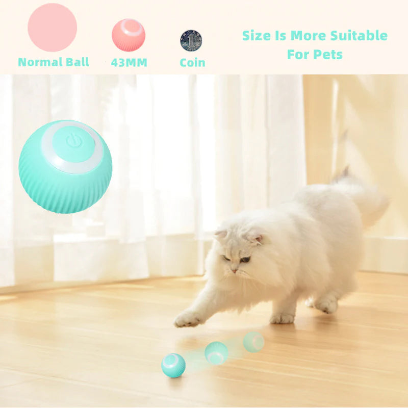 Activate Your Cat's Natural Instincts