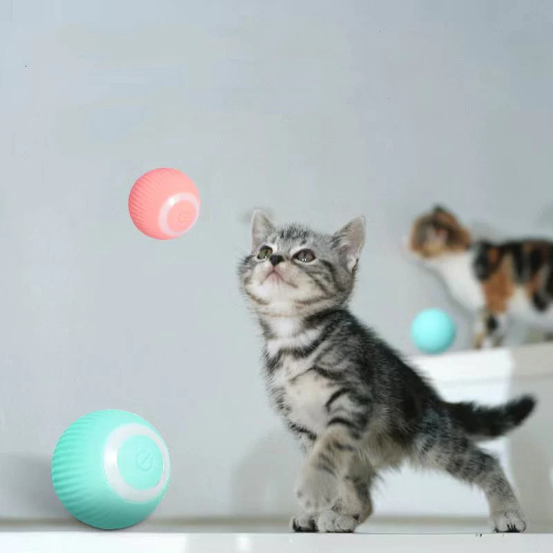 Activate Your Cat's Natural Instincts