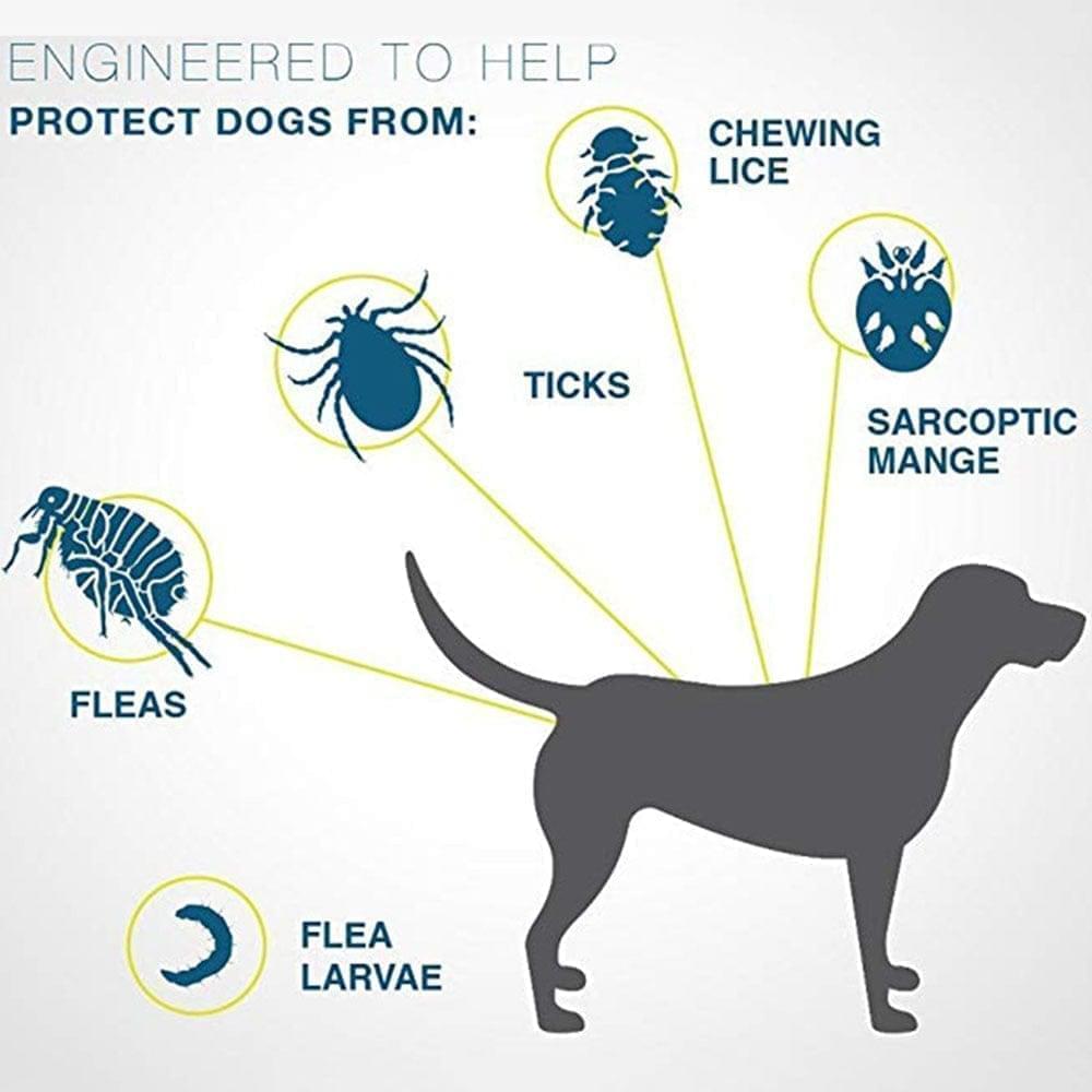 Flea and Tick Collar for Dogs & Cats | 8 Months Protection