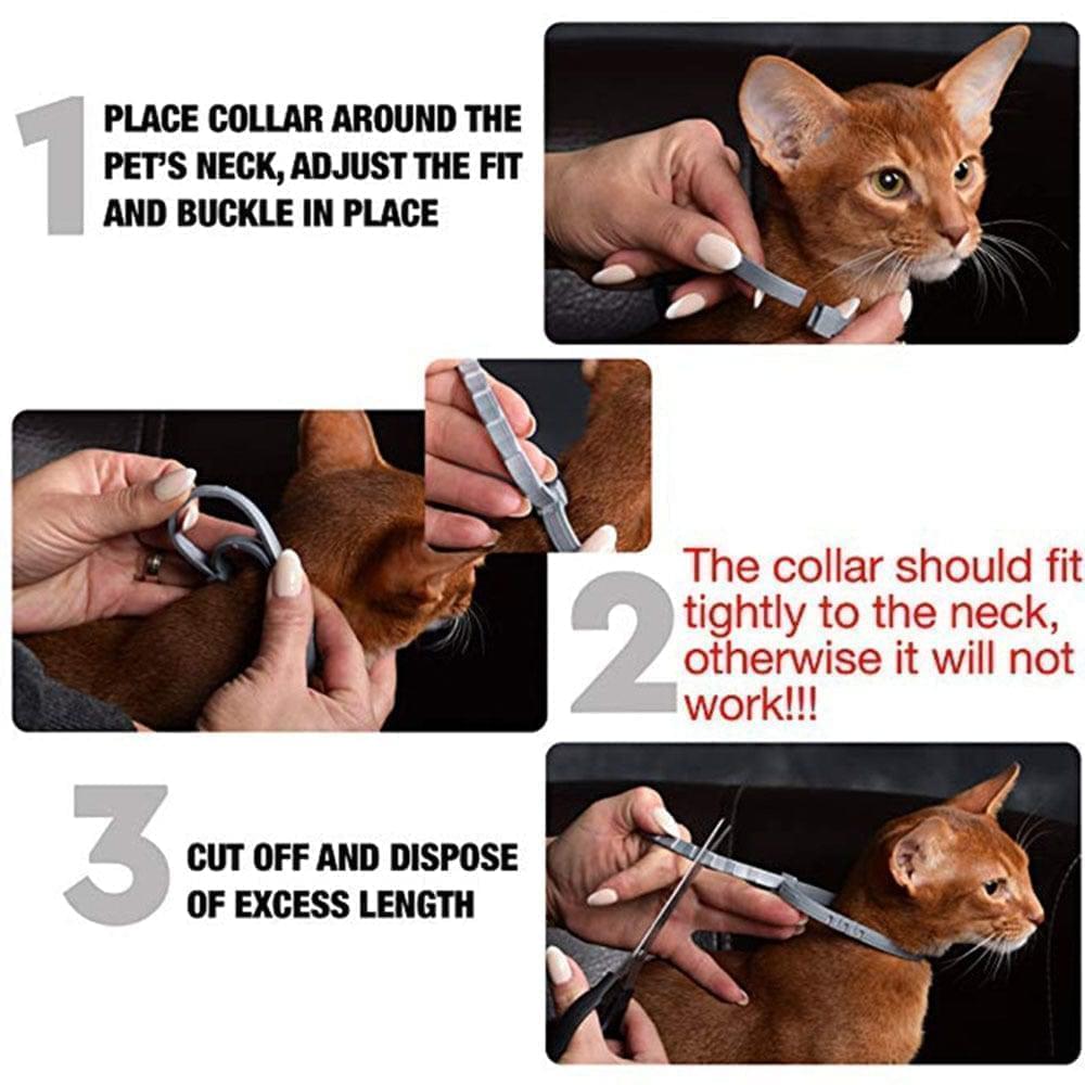 Flea and Tick Collar for Dogs & Cats | 8 Months Protection