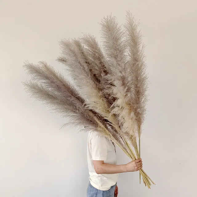 Boho Dried Pampas Grass for Home Decor