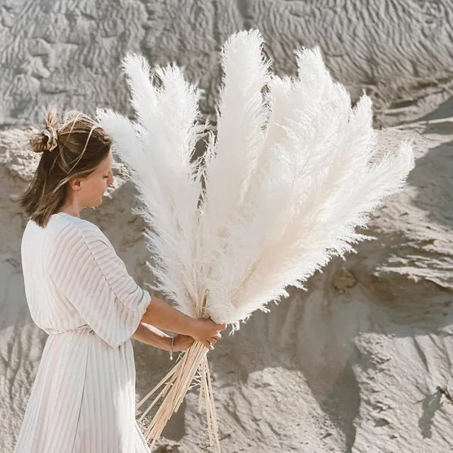 Boho Dried Pampas Grass for Home Decor