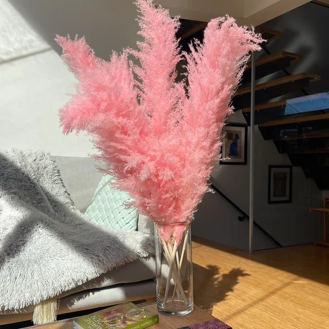 Boho Dried Pampas Grass for Home Decor