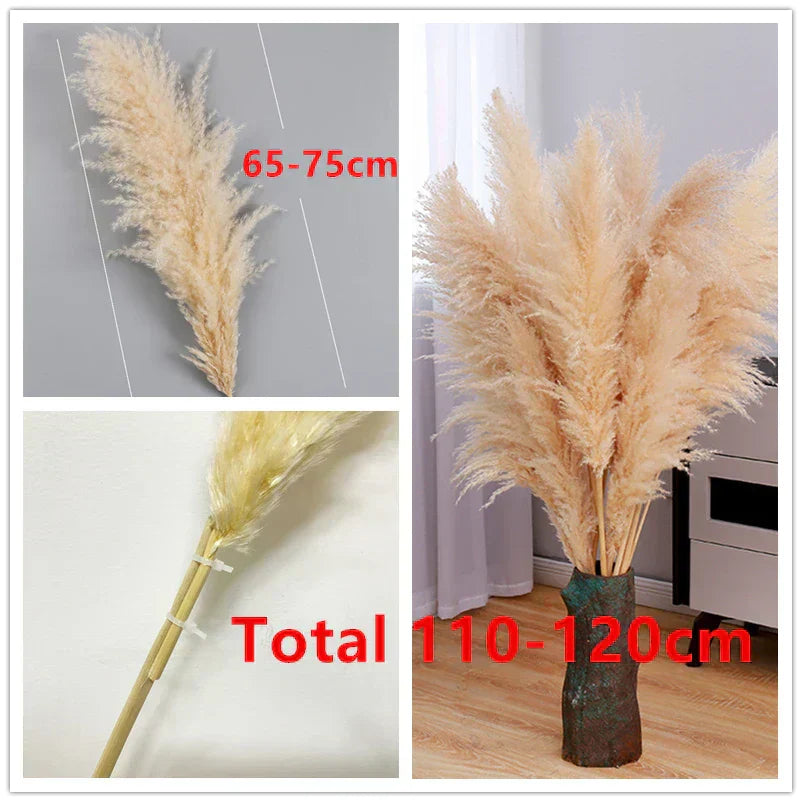 Boho Dried Pampas Grass for Home Decor