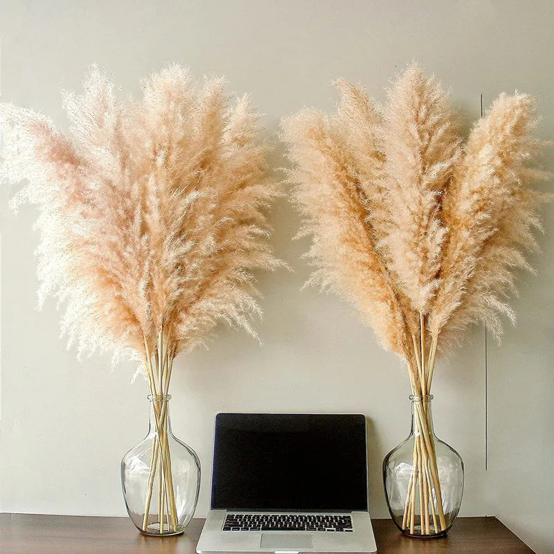 Boho Dried Pampas Grass for Home Decor