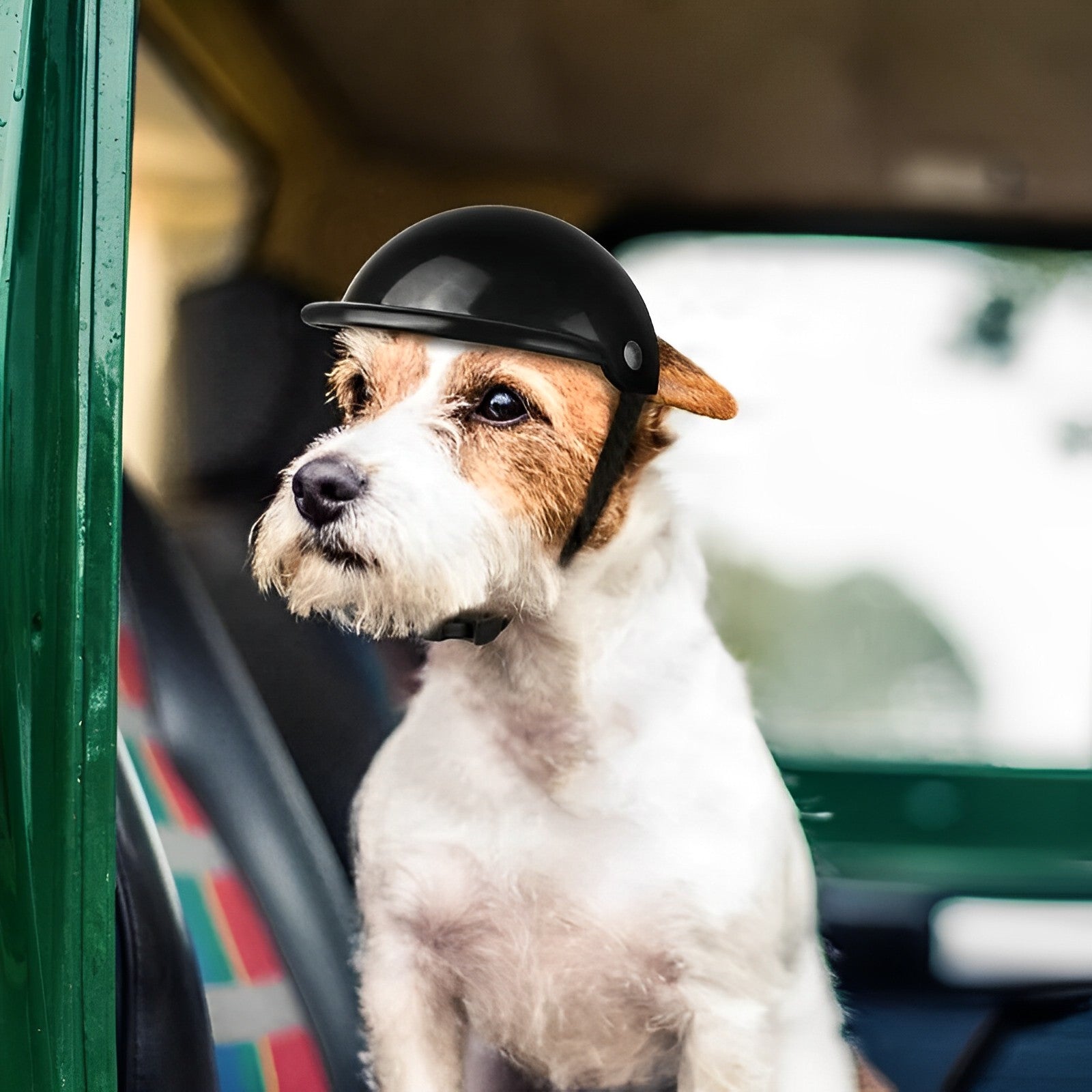Dog Moto Helmet and Goggles for Safe Fit Riding
