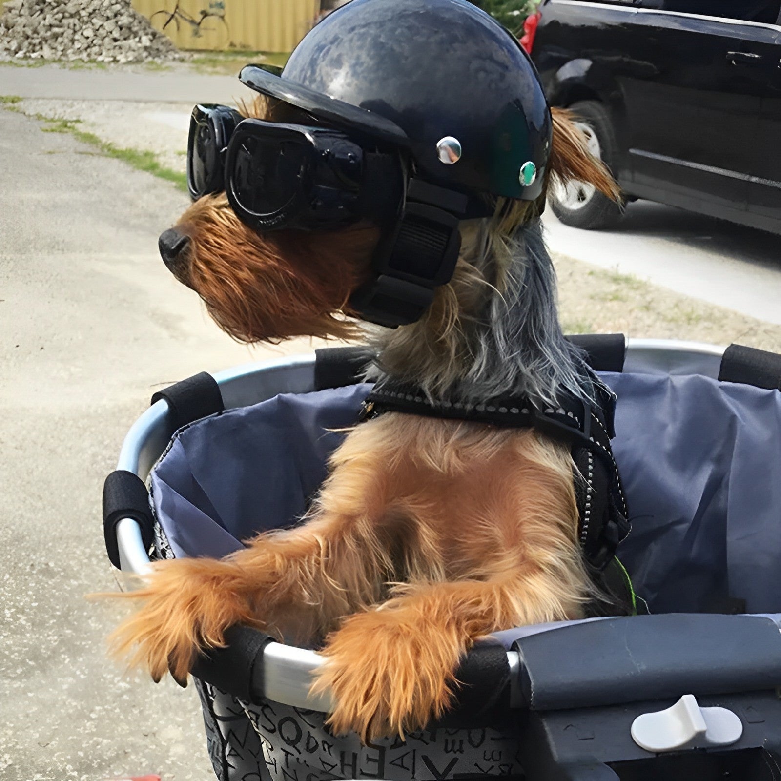 Dog Moto Helmet and Goggles for Safe Fit Riding