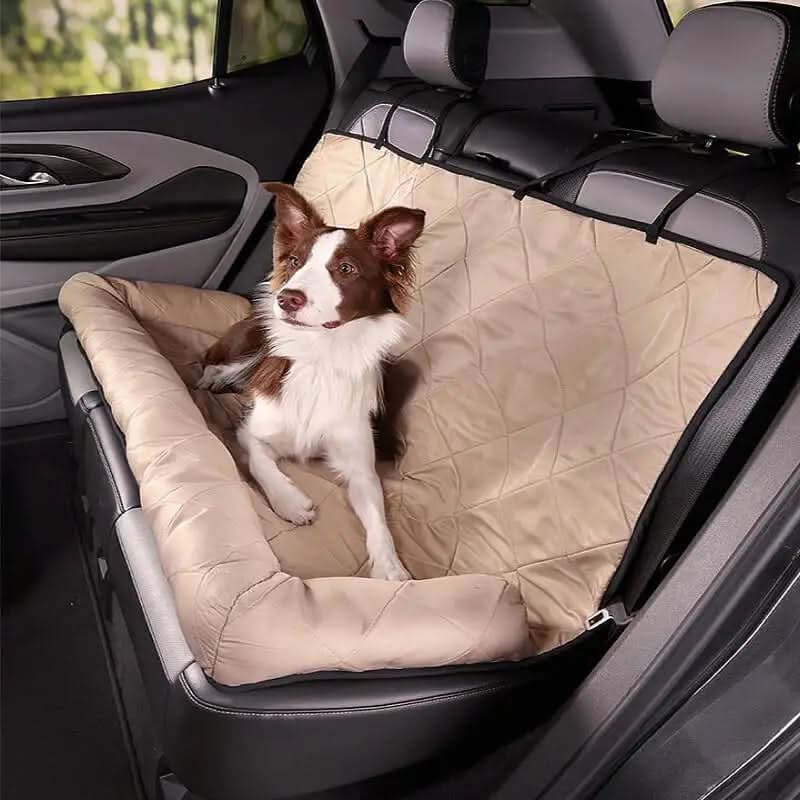 Backseat Lounge Area for Pet Comfort and Cleanliness