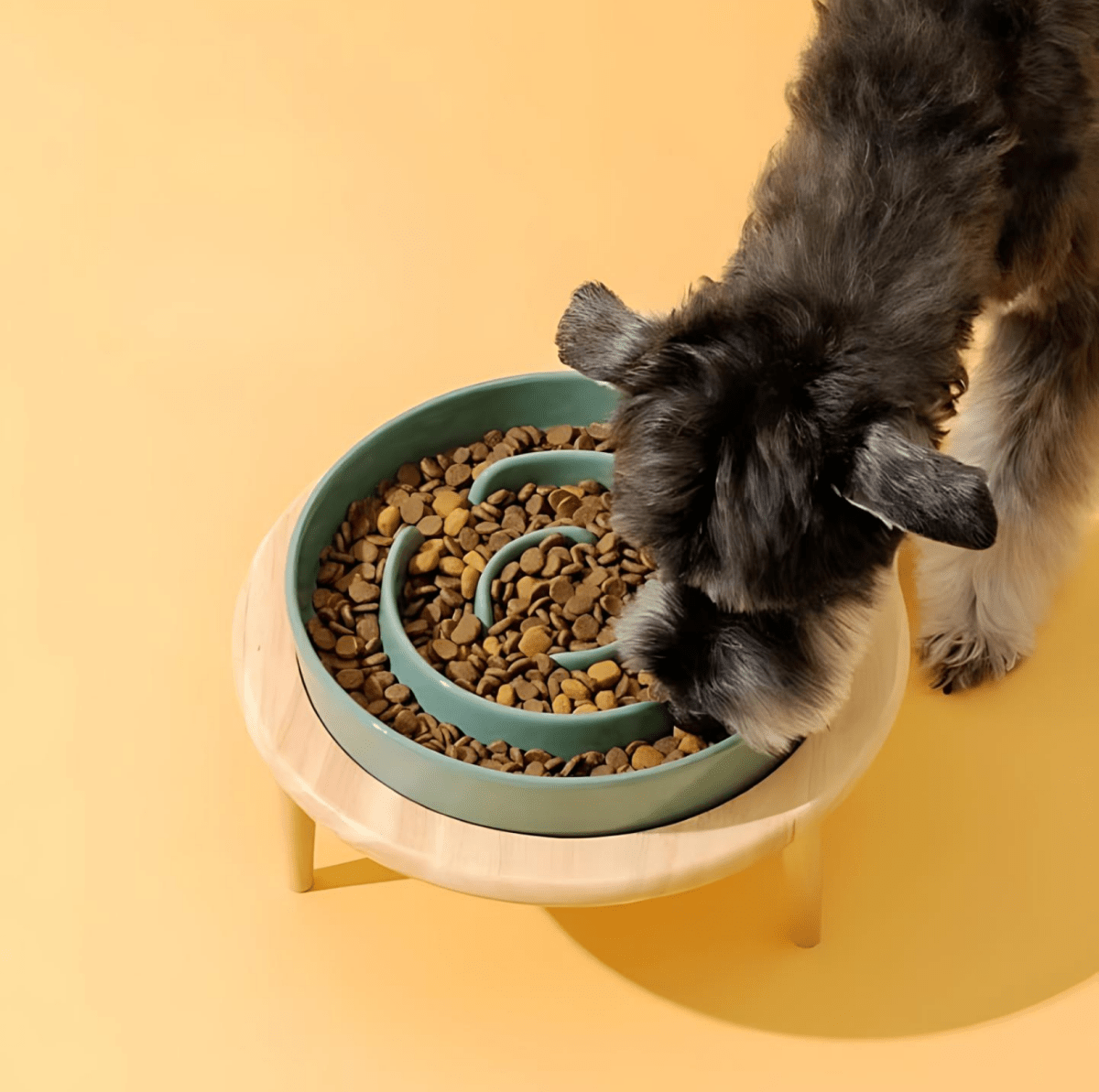 Elegant Handmade Food Bowl for Pets