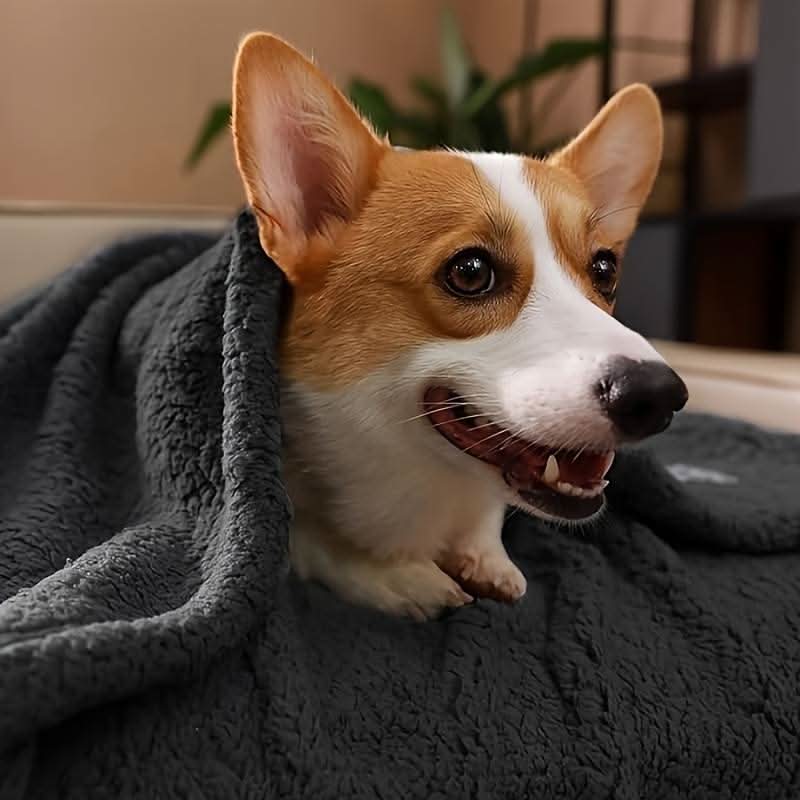 Premium Pet Fleece Blanket