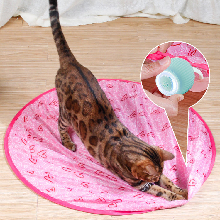 Activate Your Cat's Natural Instincts